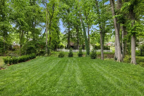 a view of an outdoor space and a yard
