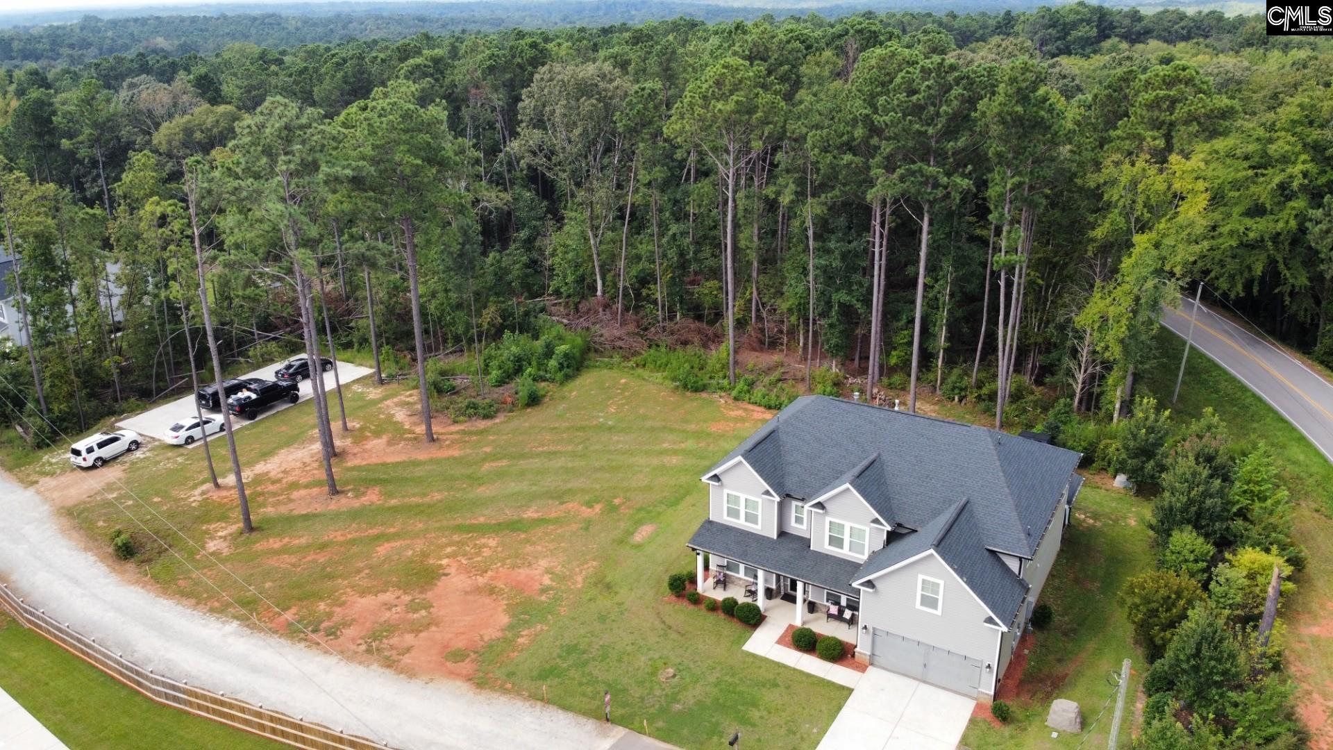 524 Triumph Road Chapin, SC 29036 - Photo 47 of 50
