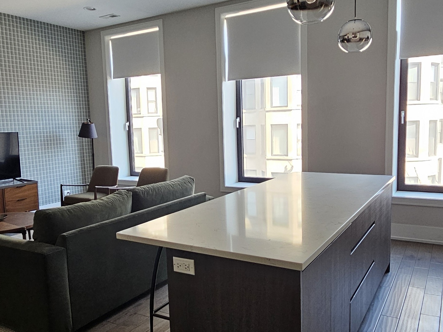 318 South Halsted Street, Unit 303 Chicago, IL 60607 - Photo 5 of 7