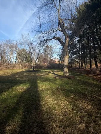 a view of outdoor space with garden space