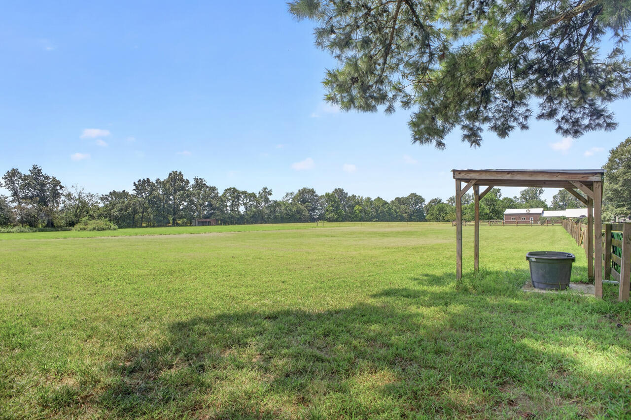 1239 Caldwell Road Murray, KY 42071 - Photo 26 of 36 23
