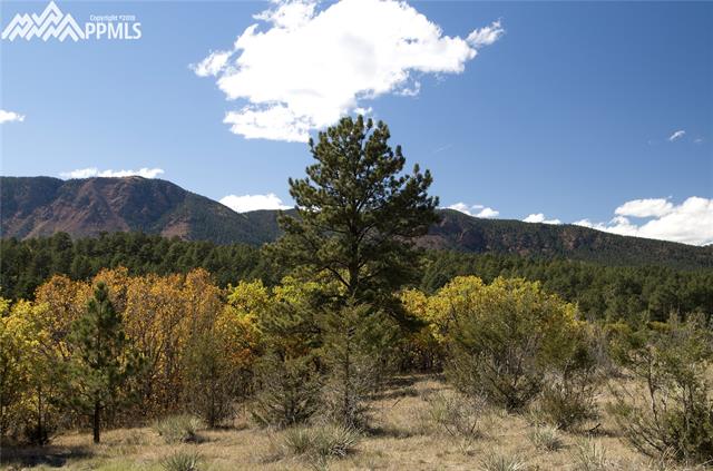 383 Raspberry Lane Monument, CO 80132 - Photo 15 of 36 More Views from the Deck