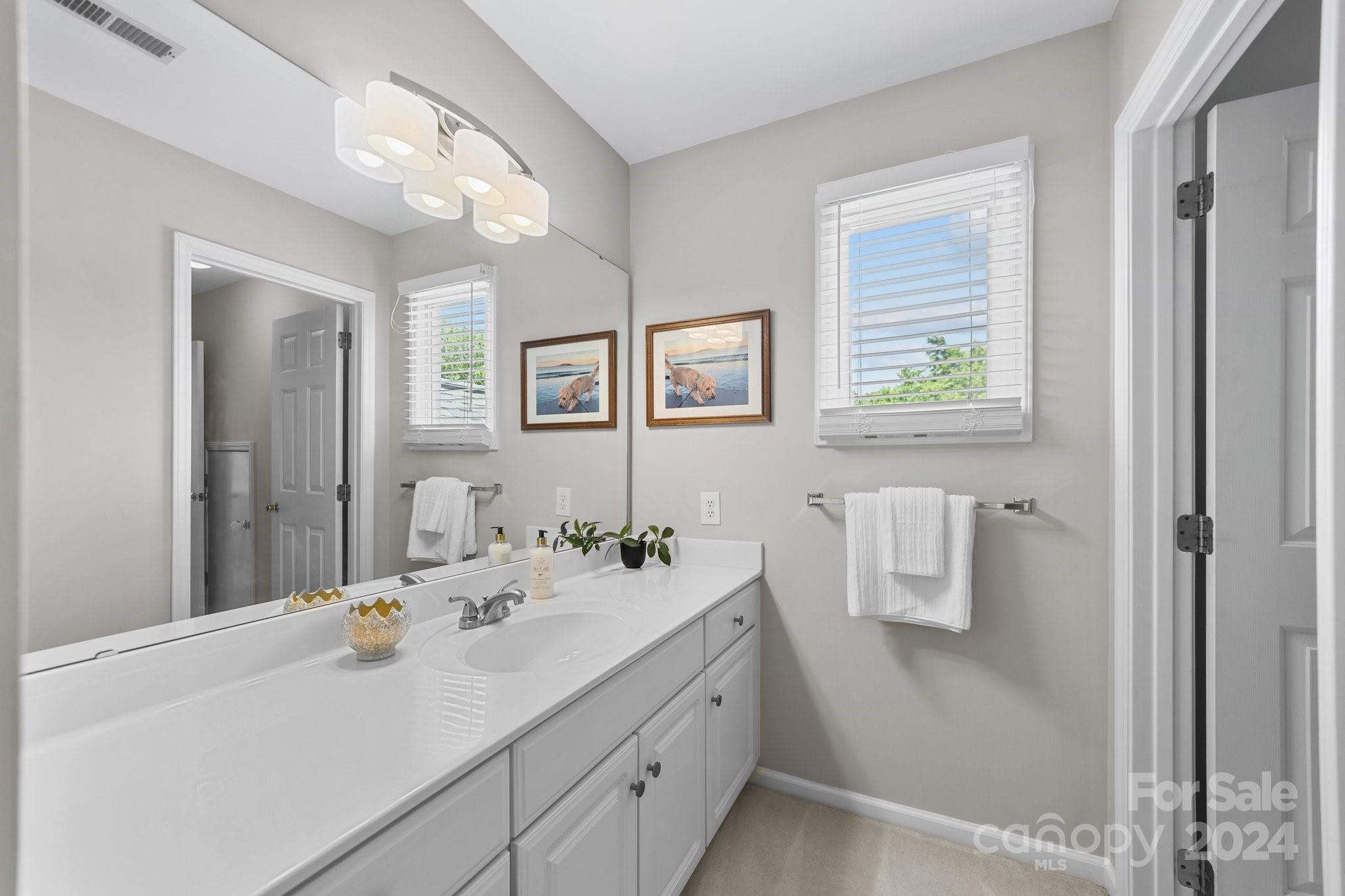 251 Kimberly Road Davidson, NC 28036 - Photo 32 of 47 a bathroom with a sink and a mirror