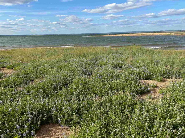 a view of an ocean and beach