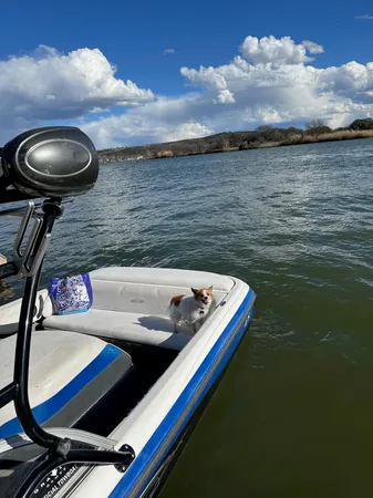 a view of roof with furniture