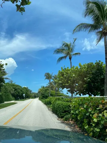 a view of a yard with palm tree