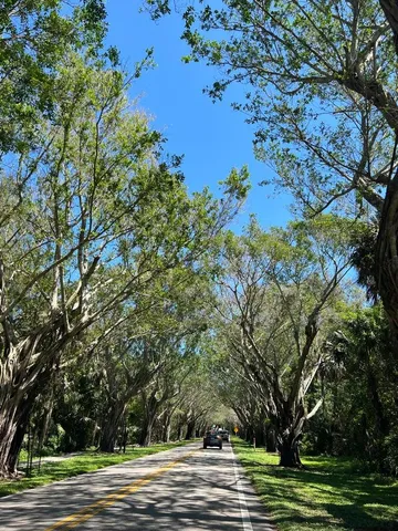 a view of a green field