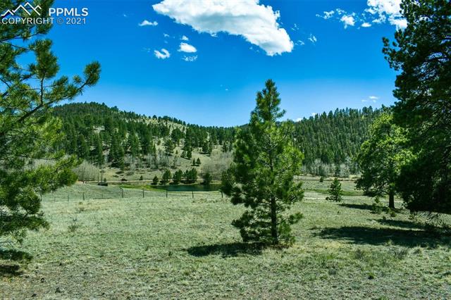 Lot 60 B Road Guffey, CO 80820 - Photo 6 of 28
