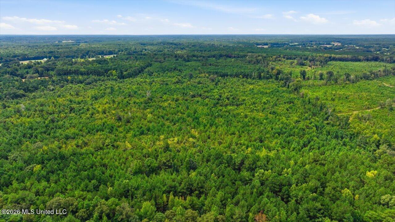 Lot 2 Lottville Road Canton, MS 39046 - Photo 13 of 15 12-347 Lottville Rd _ Hometoursms.com