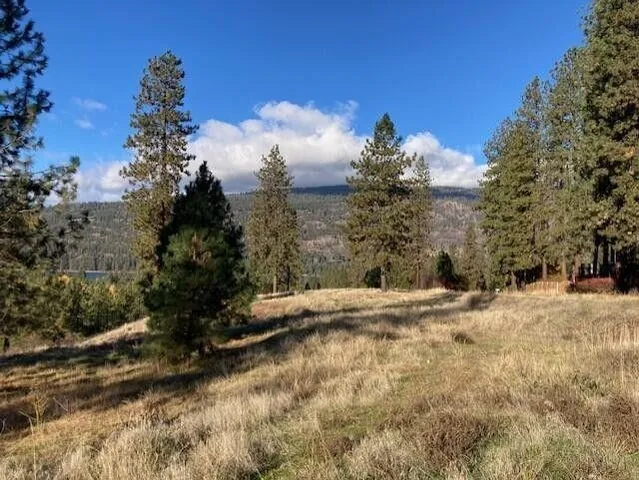 $135,000 | 1351 Lake Roosevelt Way, Kettle Falls, WA 99141