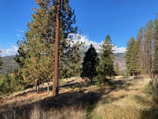 $135,000 | 1351 Lake Roosevelt Way, Kettle Falls, WA 99141