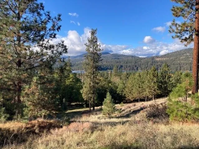 $135,000 | 1351 Lake Roosevelt Way, Kettle Falls, WA 99141