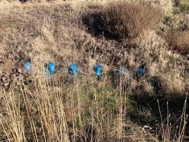 $135,000 | 1351 Lake Roosevelt Way, Kettle Falls, WA 99141