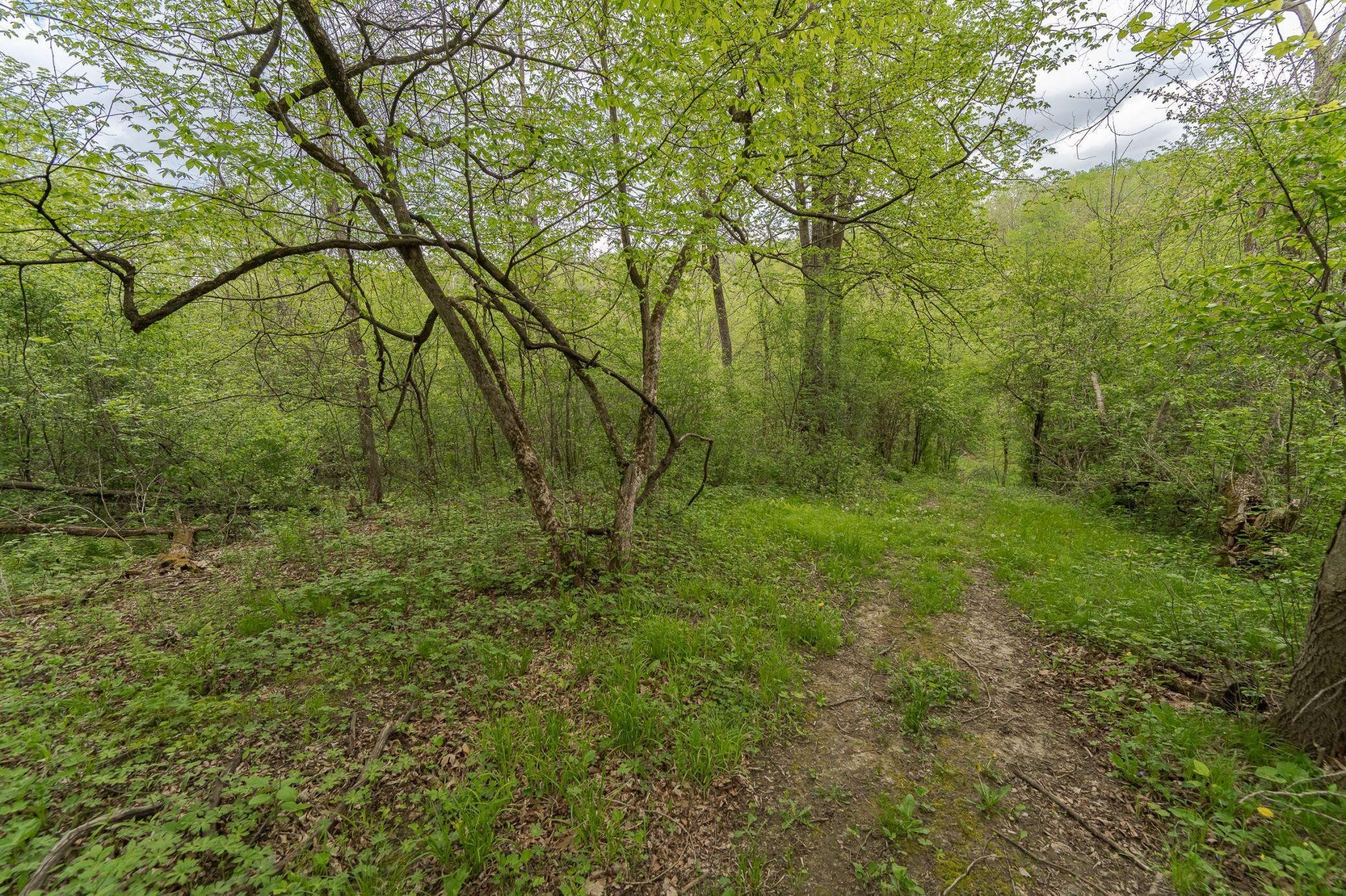 7630 County 15 Road Southwest Stewartville, MN 55976 - Photo 43 of 53