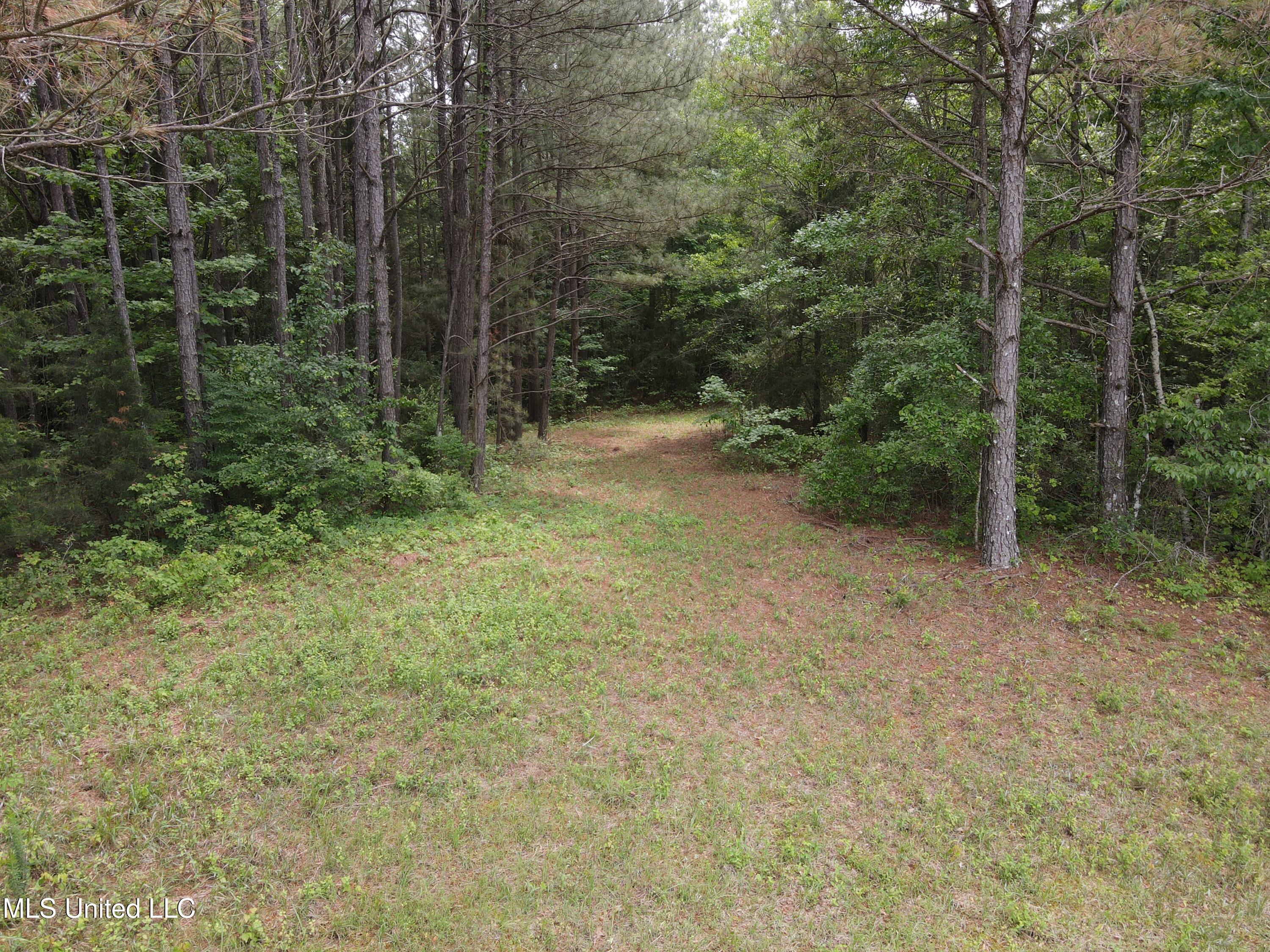 Mars Hill Road Carthage, MS 39051 - Photo 12 of 17 Photo Apr 30 2025, 2 40 51 PM