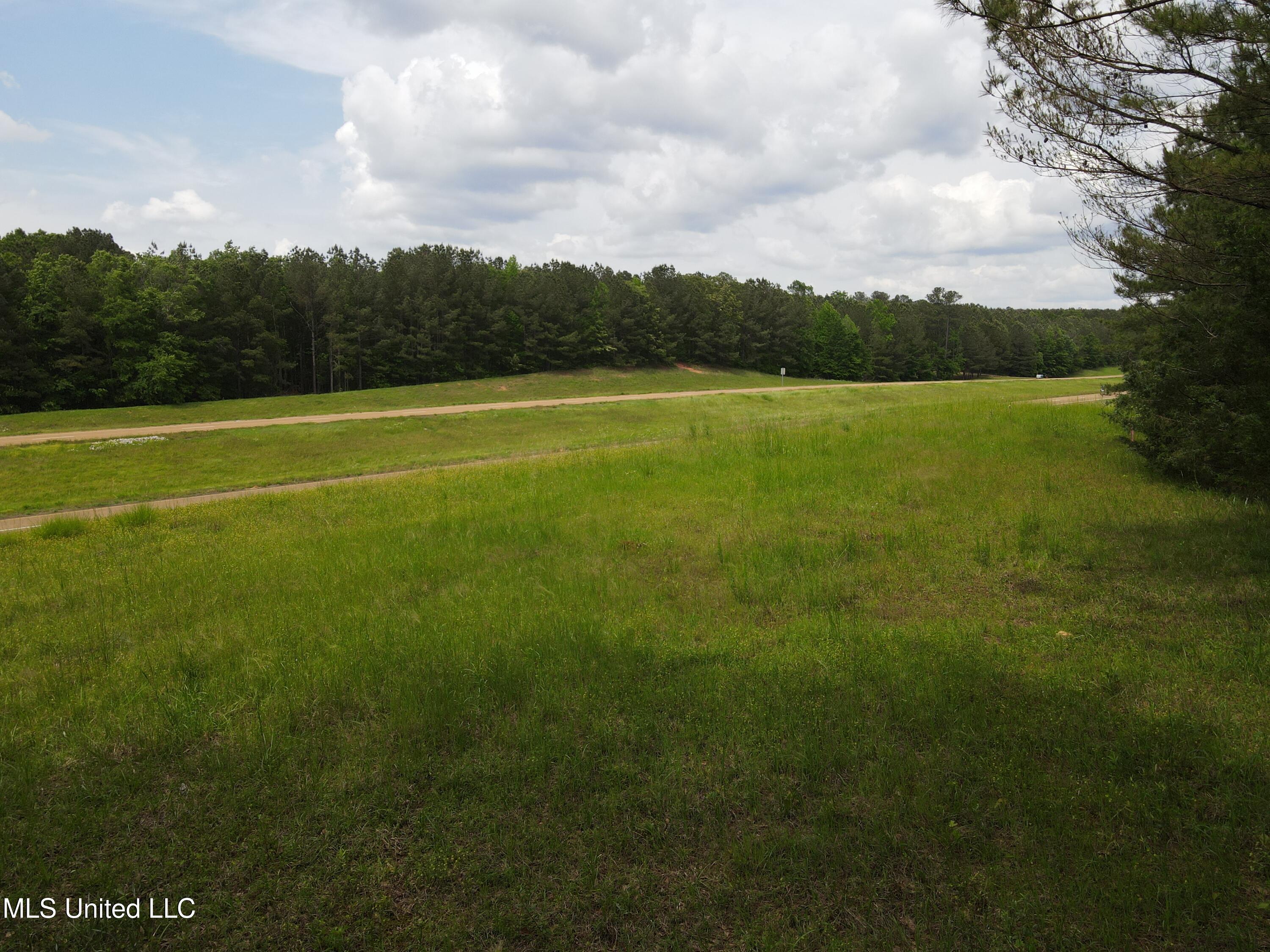 Mars Hill Road Carthage, MS 39051 - Photo 13 of 17 Photo Apr 30 2025, 2 42 21 PM