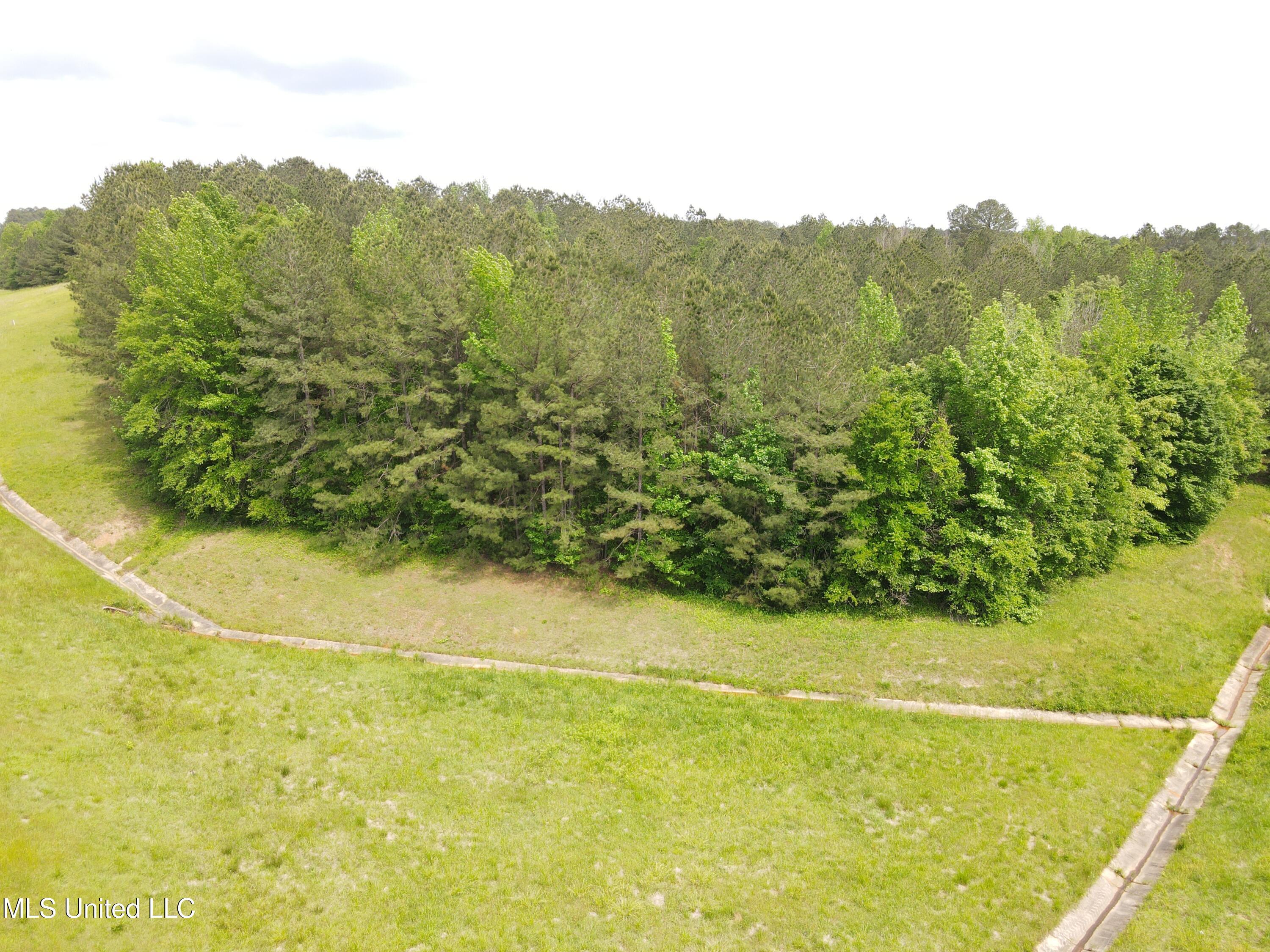 Mars Hill Road Carthage, MS 39051 - Photo 14 of 17 Photo Apr 30 2025, 2 43 07 PM