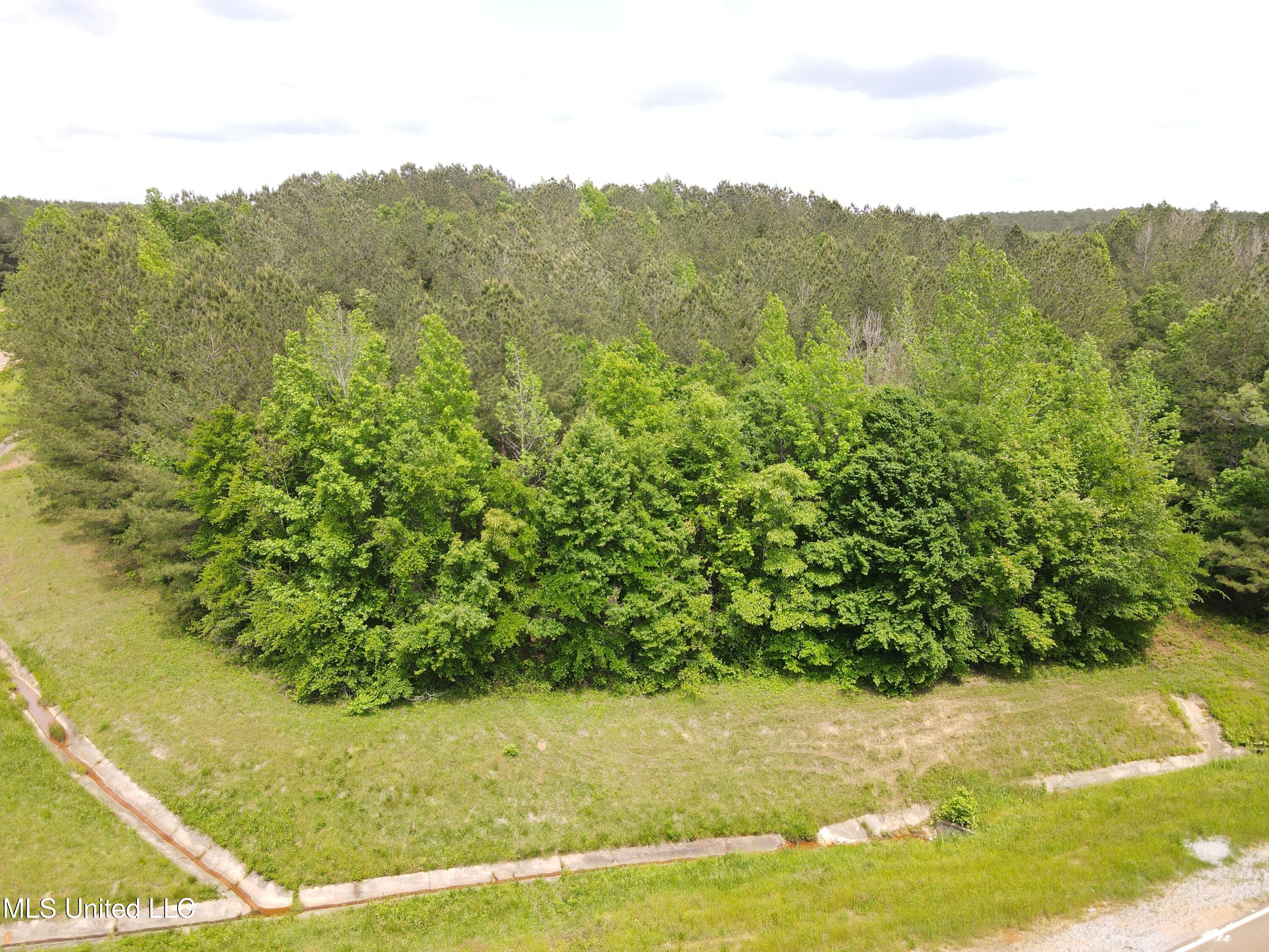 Mars Hill Road Carthage, MS 39051 - Photo 15 of 17 Photo Apr 30 2025, 2 43 25 PM