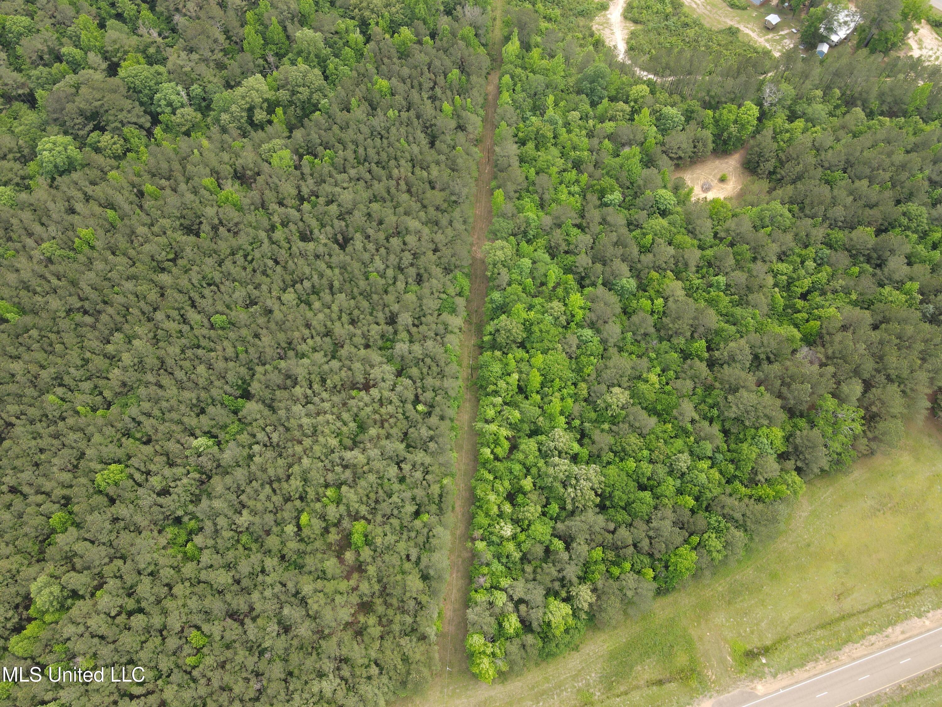 Mars Hill Road Carthage, MS 39051 - Photo 9 of 17 Photo Apr 30 2025, 2 38 47 PM