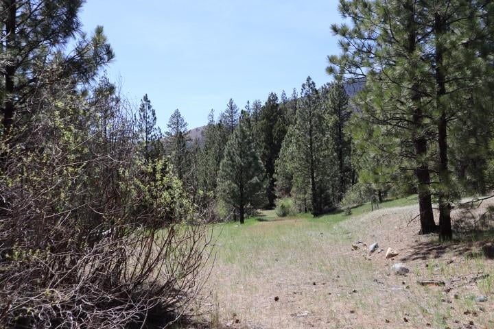 0 Masterson Road Gazelle, CA 96034 - Photo 20 of 26 Gallery Image 20