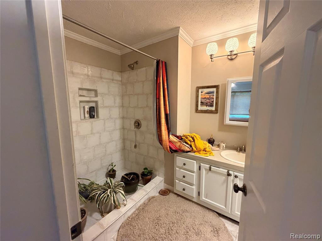 337 Lafayette Street Manchester, MI 48158 - Photo 14 of 43