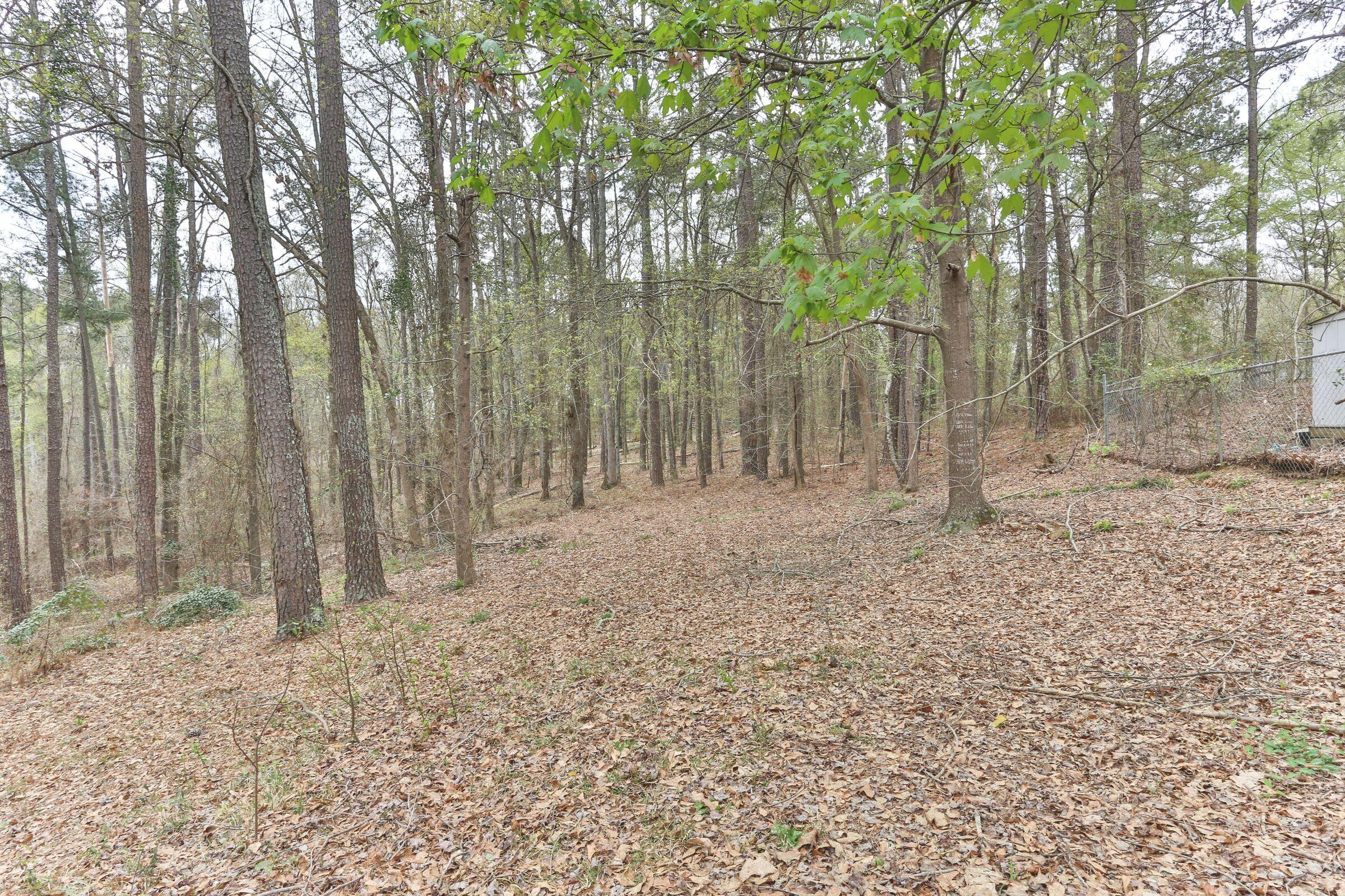 418 Zion Church Road Rockingham, NC 28379 - Photo 37 of 57 37