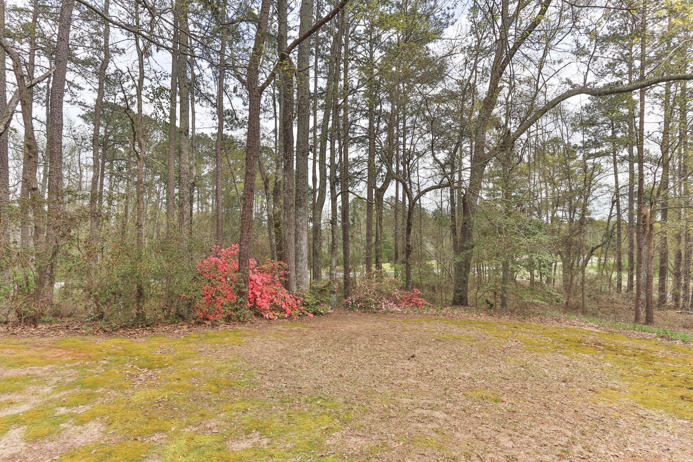 418 Zion Church Road Rockingham, NC 28379 - Photo 45 of 57 45