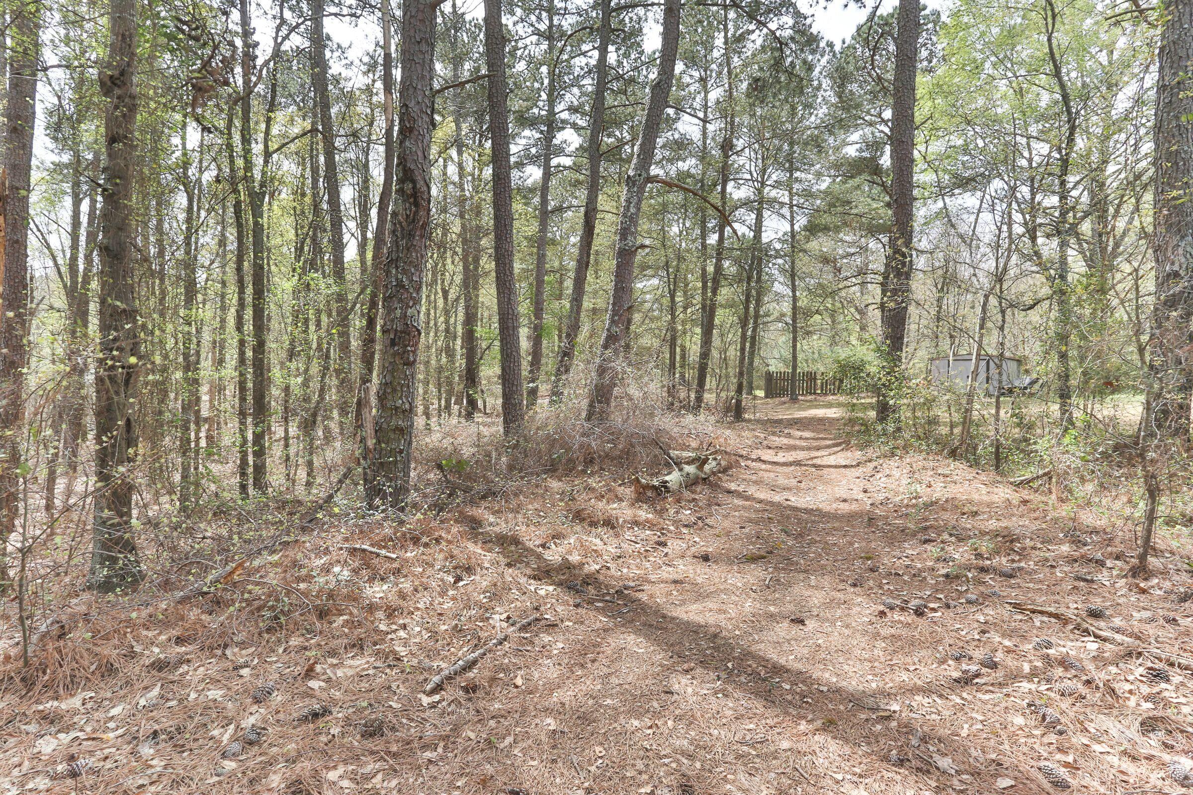 418 Zion Church Road Rockingham, NC 28379 - Photo 48 of 57 48