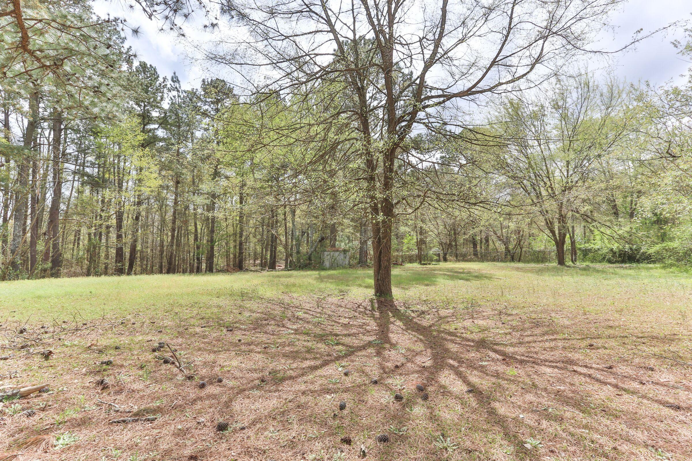 418 Zion Church Road Rockingham, NC 28379 - Photo 50 of 57 50