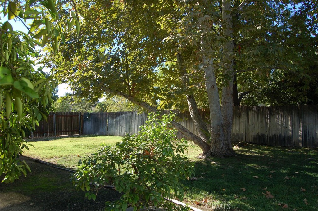 4162 Chestnut Street Riverside, CA 92501 - Photo 26 of 33 BEST BACKYARD OWNER PAYS FOR GARDNER
