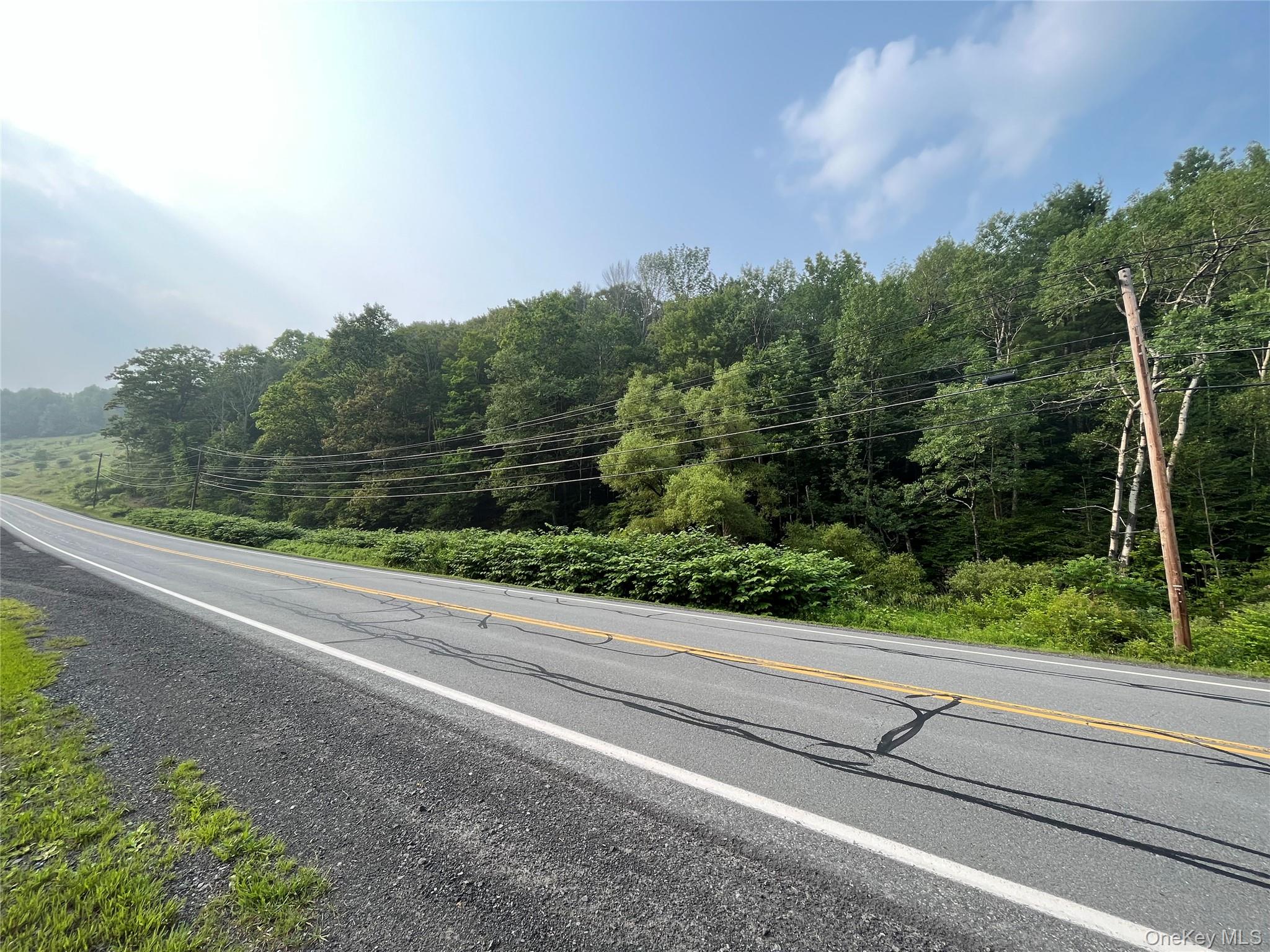 Hood Road Roscoe, NY 12776 - Photo 26 of 27 View of asphalt street with a forest view, old 17 road frontage
