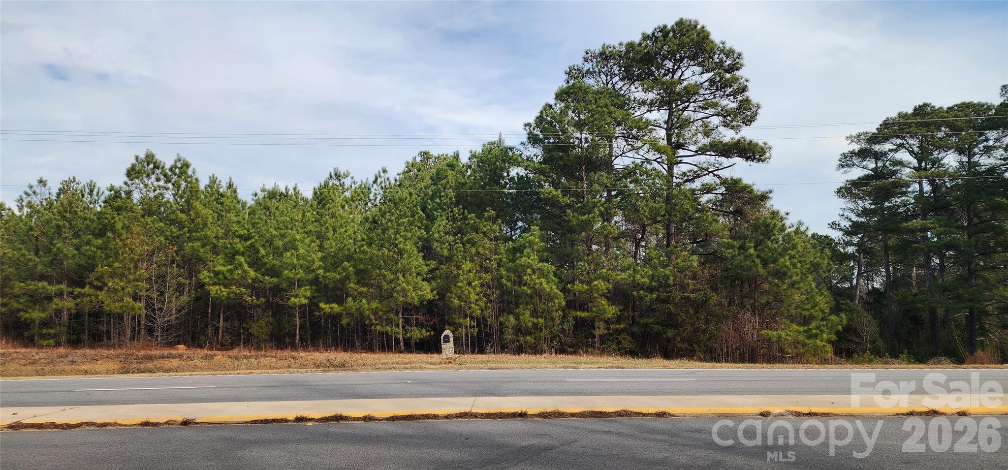 1413 Old Columbia Road Chester, SC 29706 - Photo 10 of 48