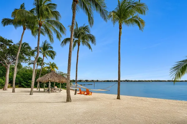 a view of a terrace with palm trees
