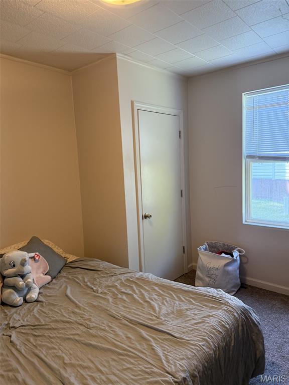 410 North 5th Street Elsberry, MO 63343 - Photo 10 of 11