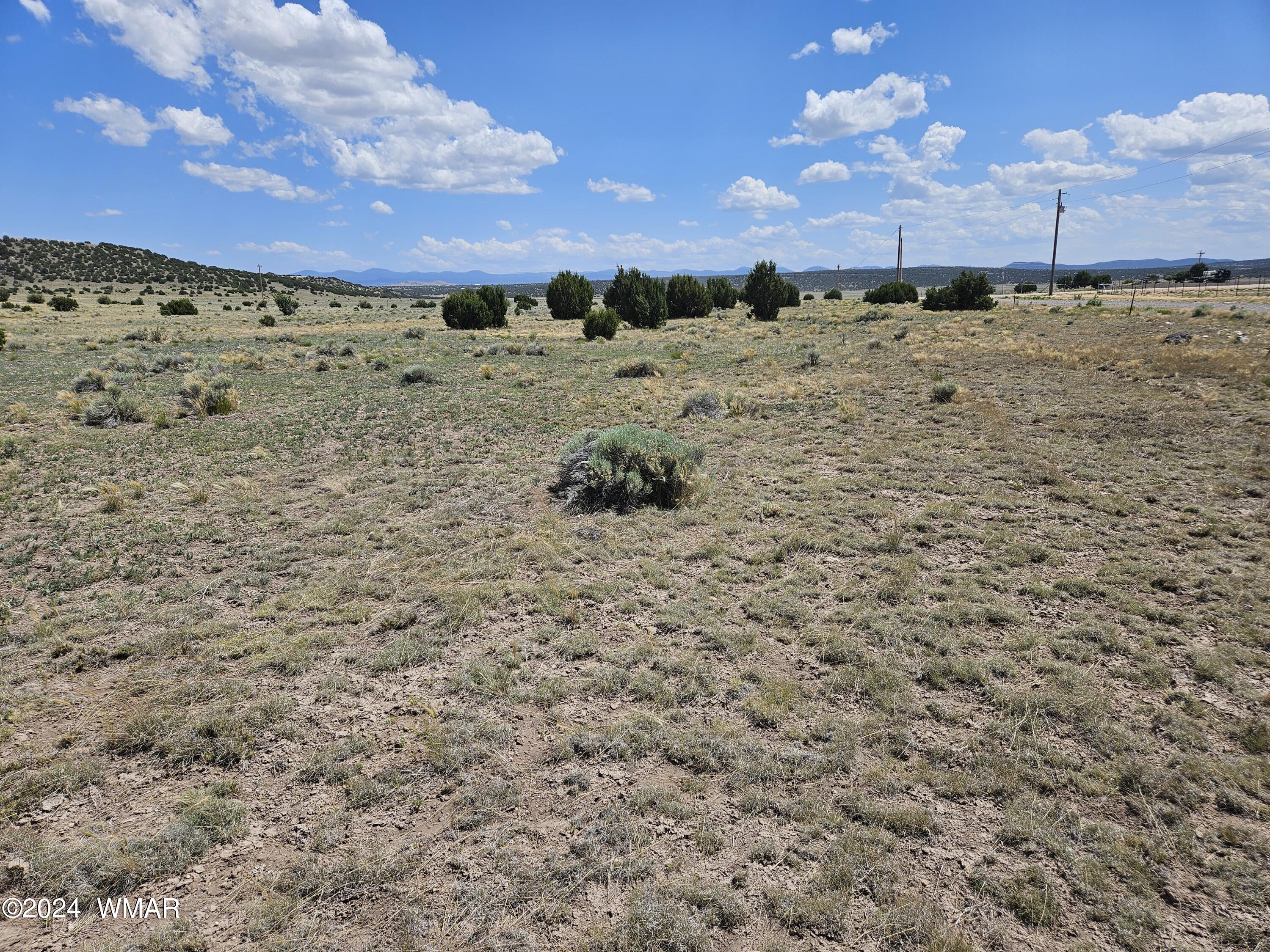 8500 / Mesa Redondo Ranch Road Concho, AZ 85924 - Photo 1 of 16 20240620_141038