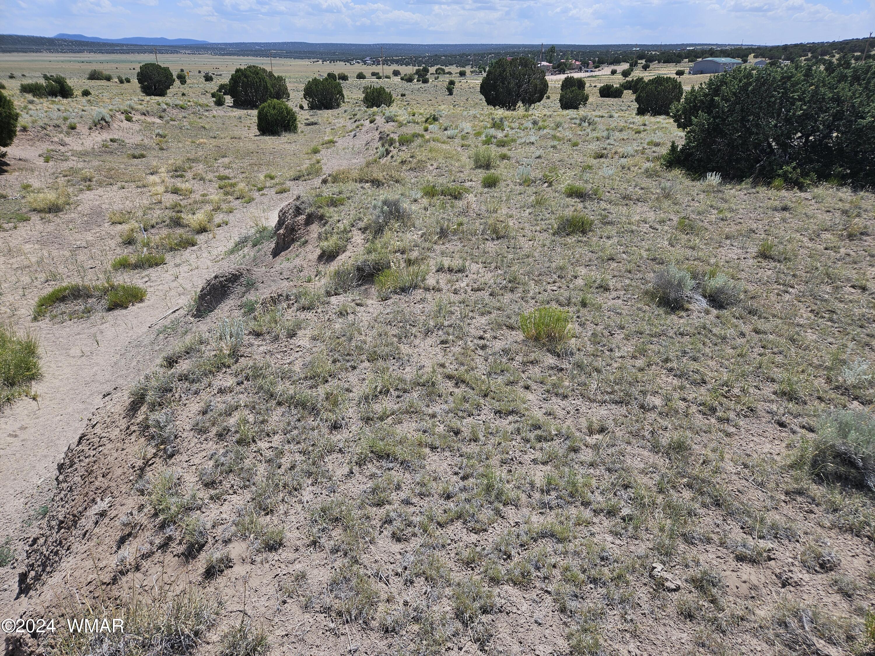 8500 / Mesa Redondo Ranch Road Concho, AZ 85924 - Photo 12 of 16 20240620_141412
