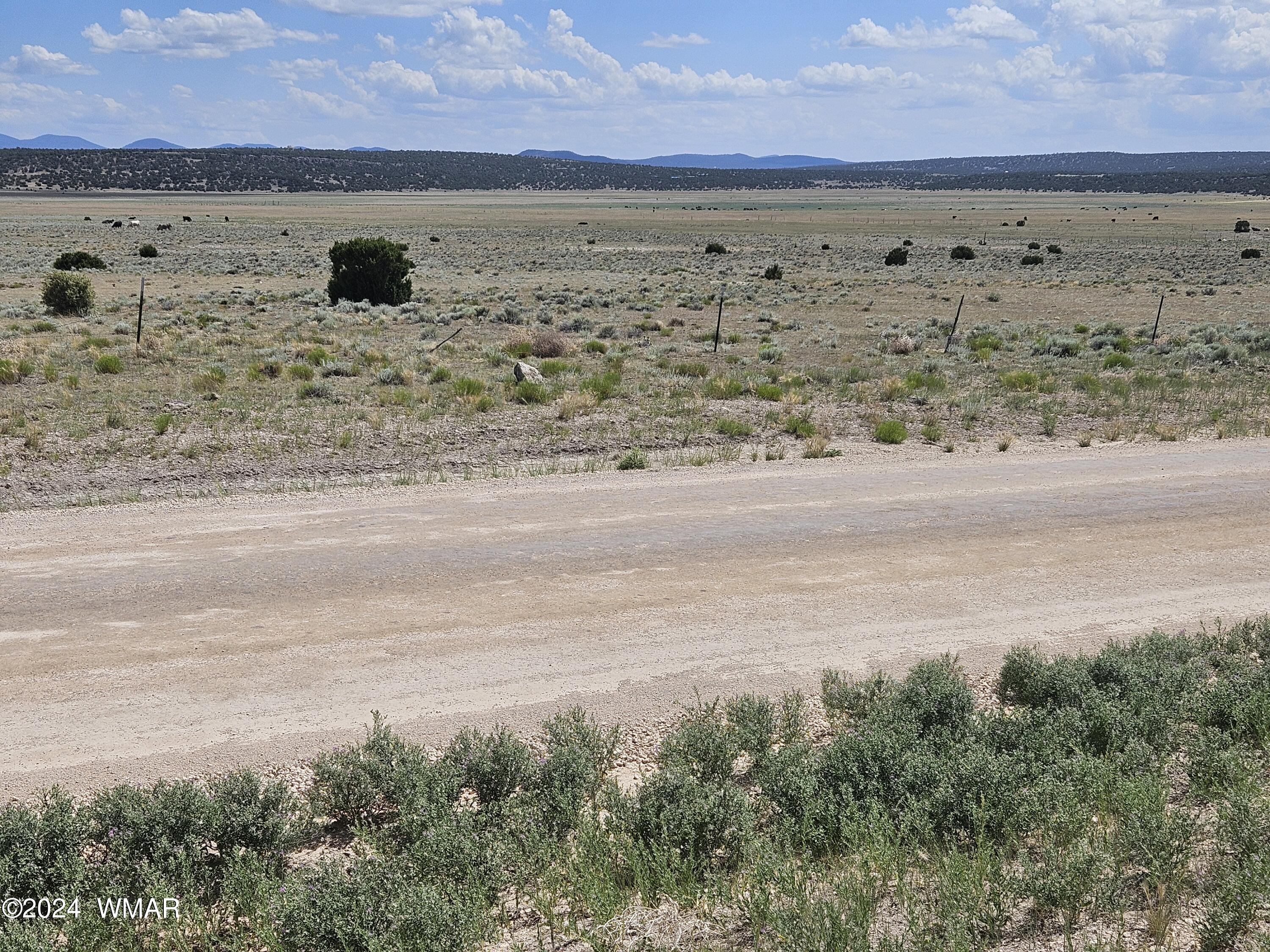 8500 / Mesa Redondo Ranch Road Concho, AZ 85924 - Photo 14 of 16 Looking across 8500 / Mesa Redondo Ranch Rd from lot 43