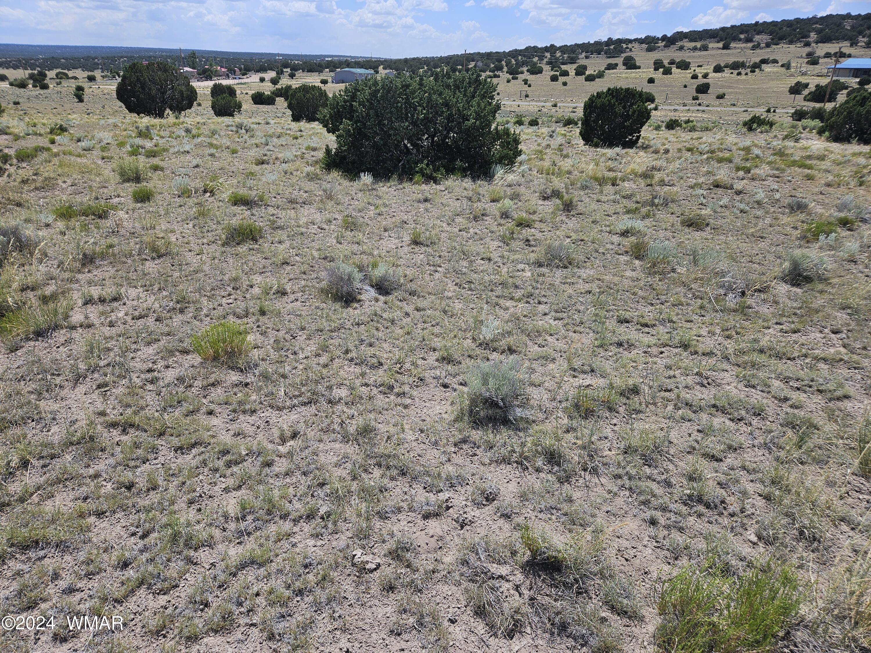 8500 / Mesa Redondo Ranch Road Concho, AZ 85924 - Photo 6 of 16 20240620_141418