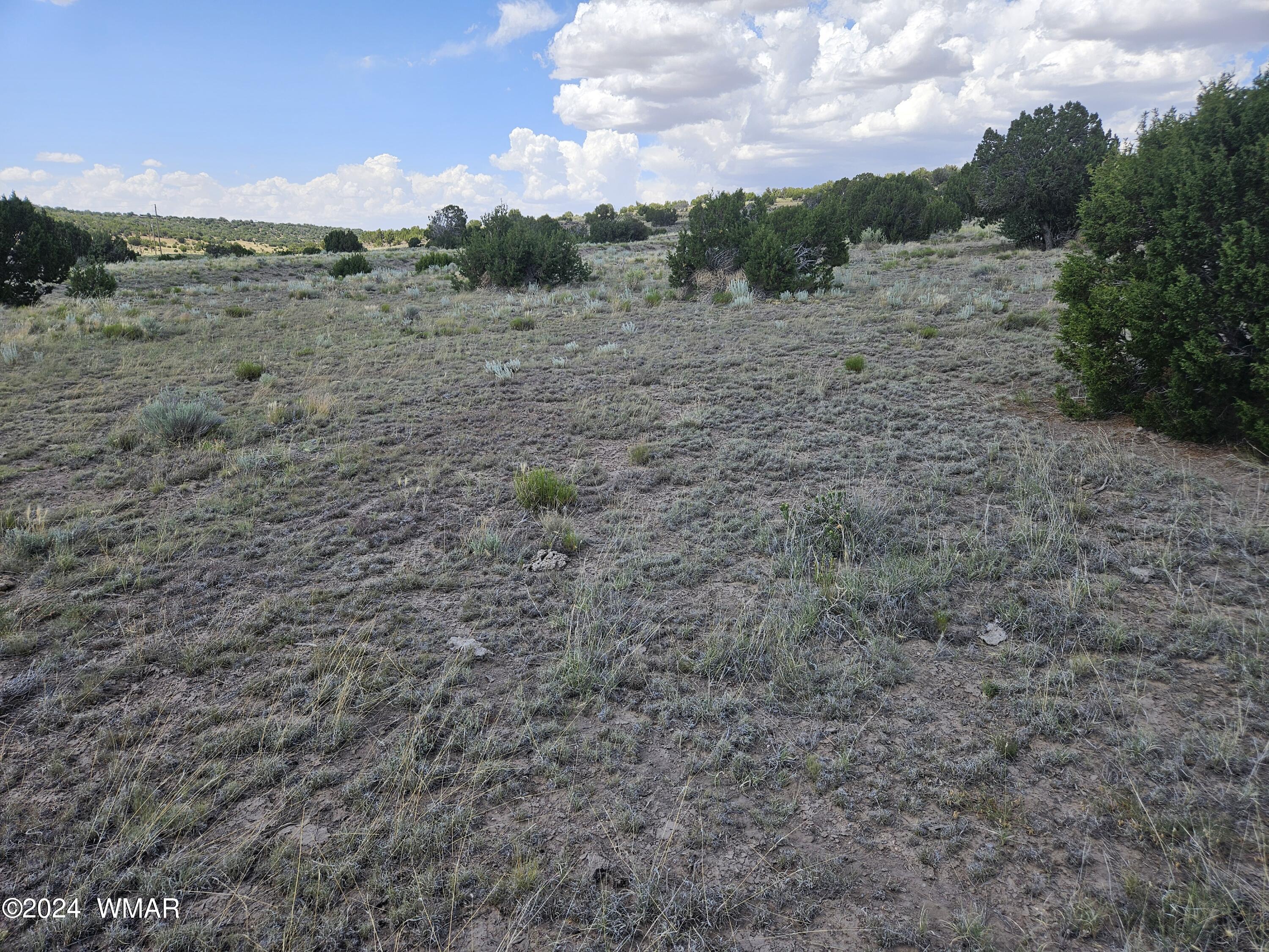 8500 / Mesa Redondo Ranch Road Concho, AZ 85924 - Photo 7 of 16 20240620_141856