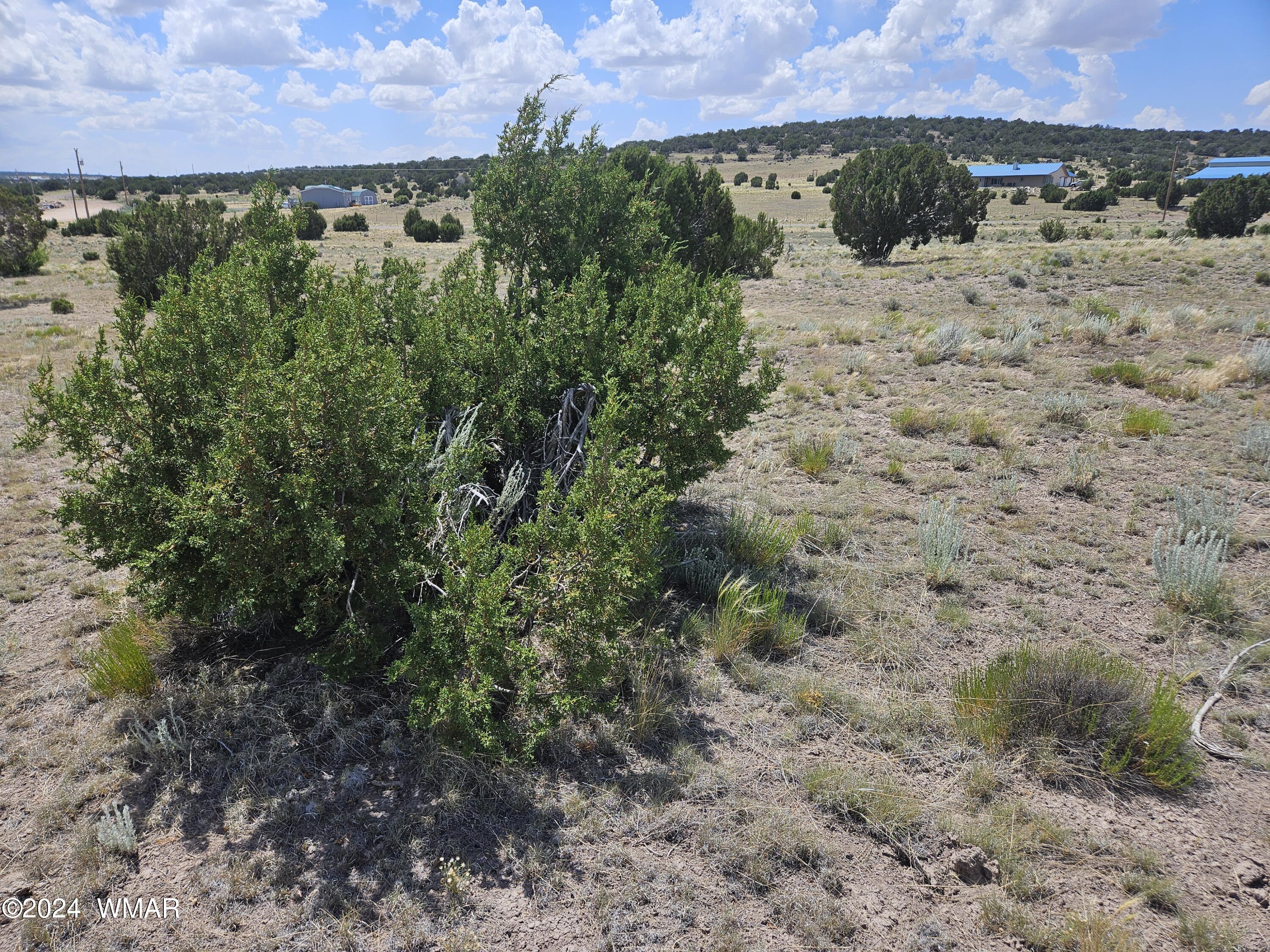 8500 / Mesa Redondo Ranch Road Concho, AZ 85924 - Photo 8 of 16 20240620_141807