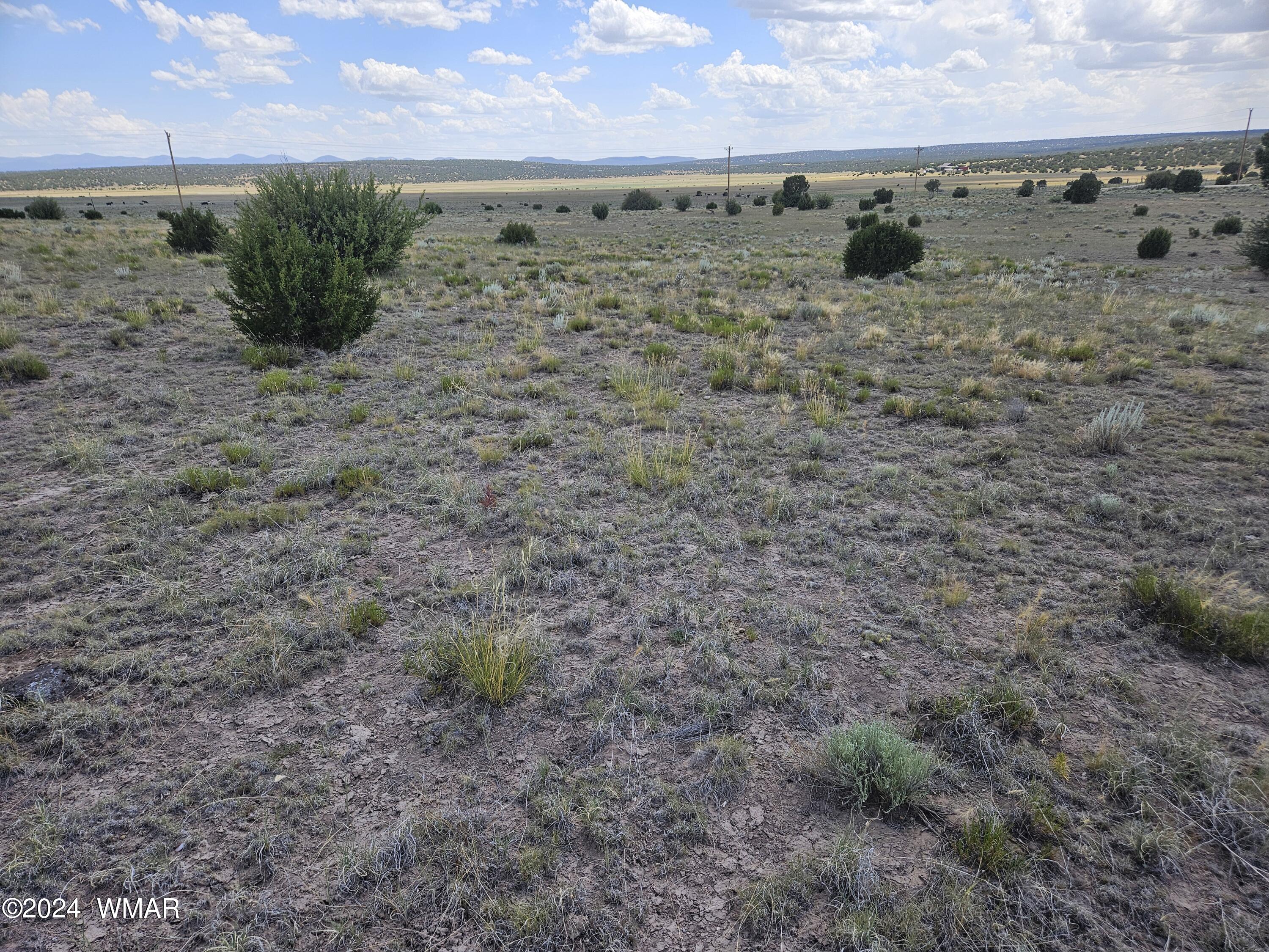 8500 / Mesa Redondo Ranch Road Concho, AZ 85924 - Photo 9 of 16 20240620_141852