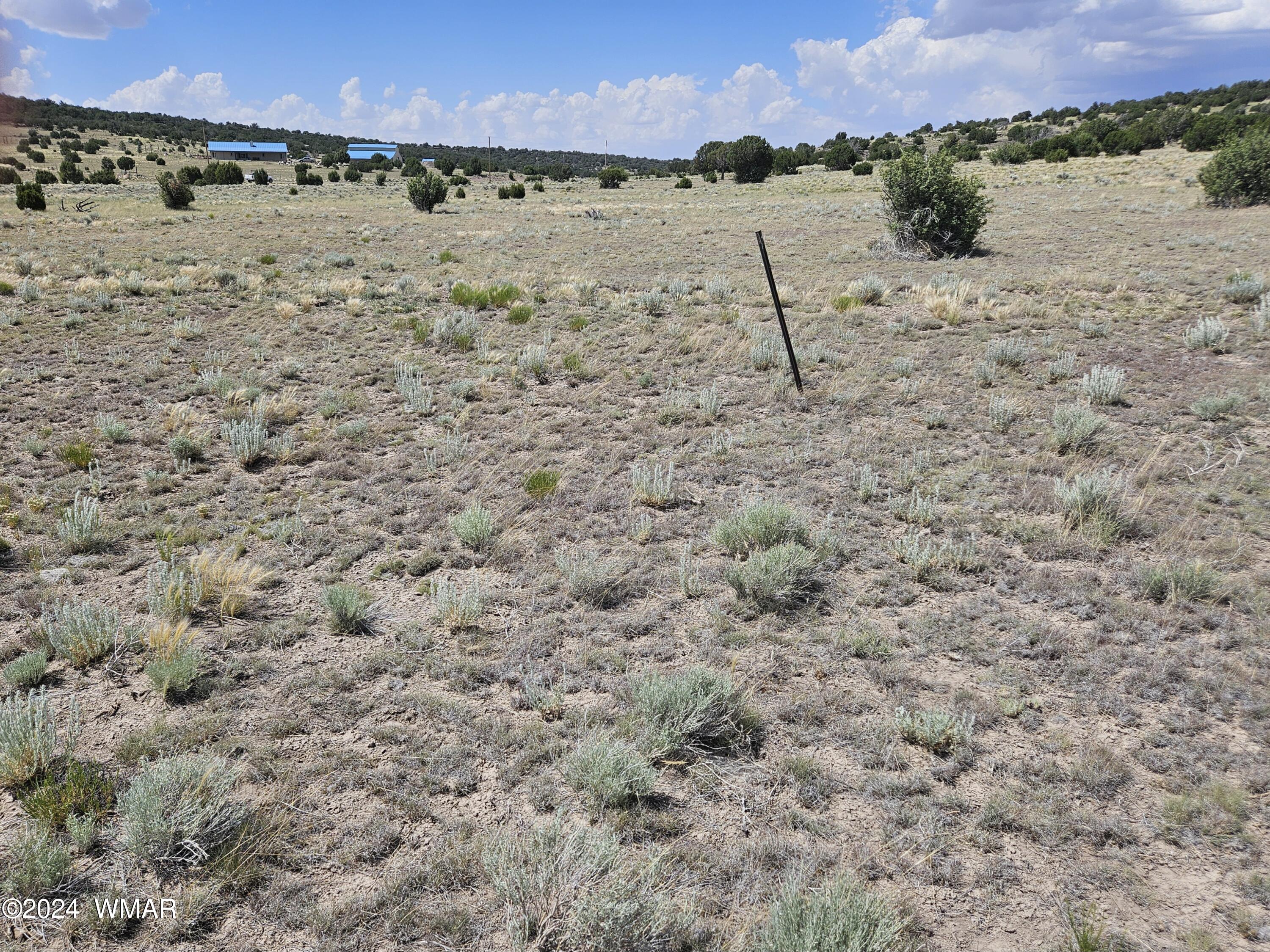 8500 / Mesa Redondo Ranch Road Concho, AZ 85924 - Photo 10 of 16 20240620_142343