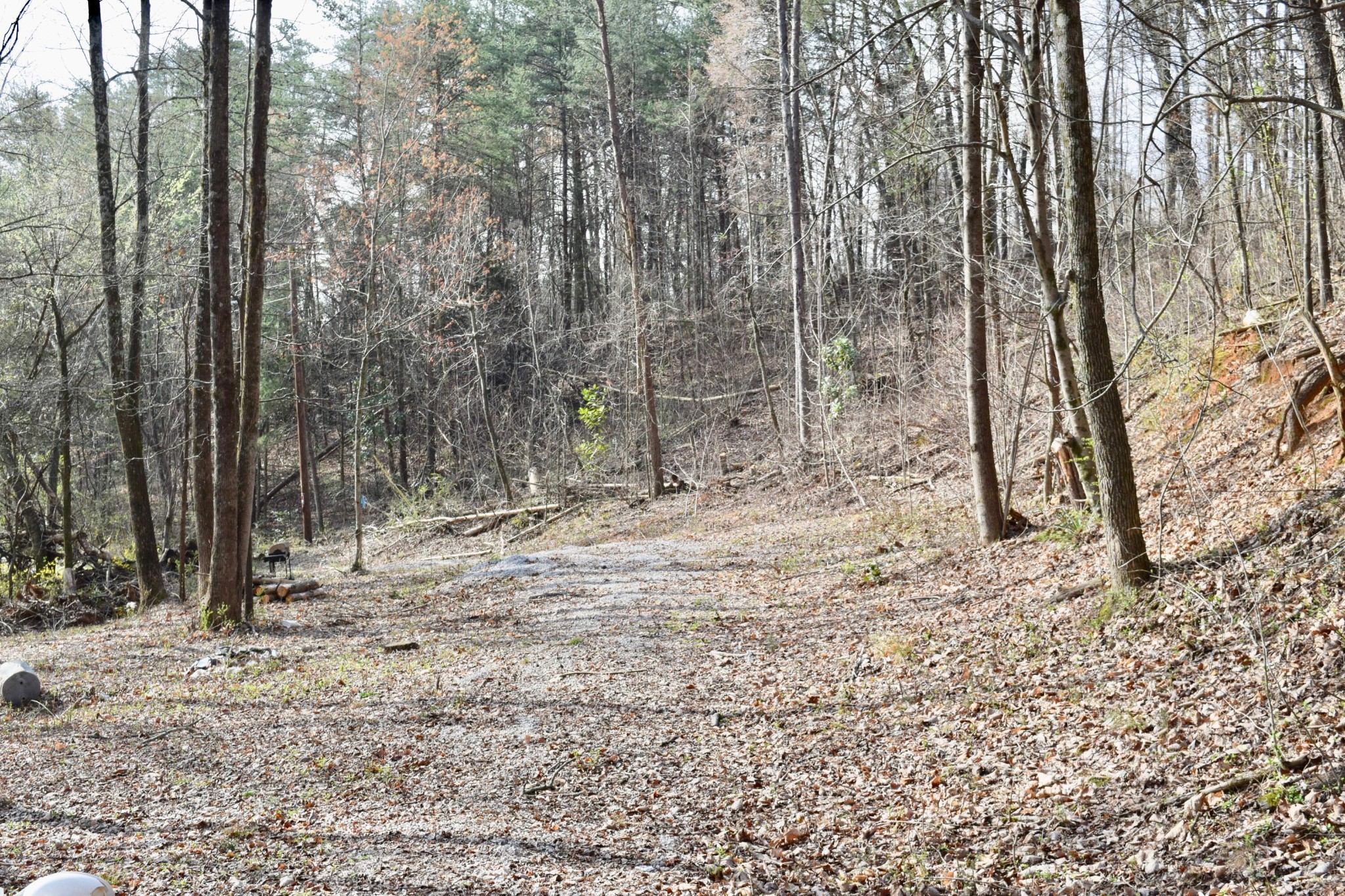 0 Ragnar Drive Hixson, TN 37343 - Photo 6 of 7 Gallery Image 6