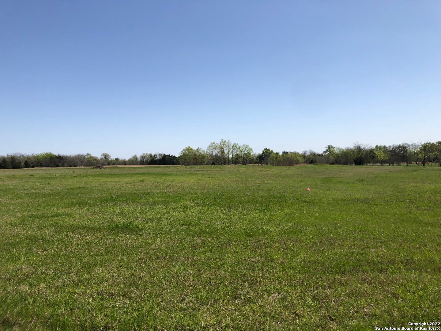 982 County Road 4500 Point, TX 75472 - Photo 3 of 7