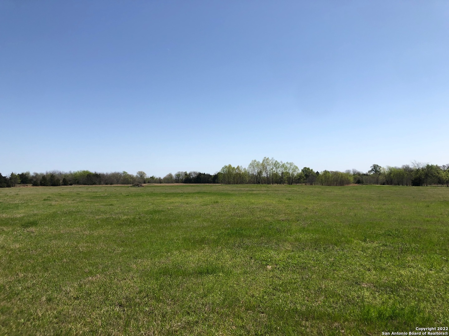 982 County Road 4500 Point, TX 75472 - Photo 5 of 7