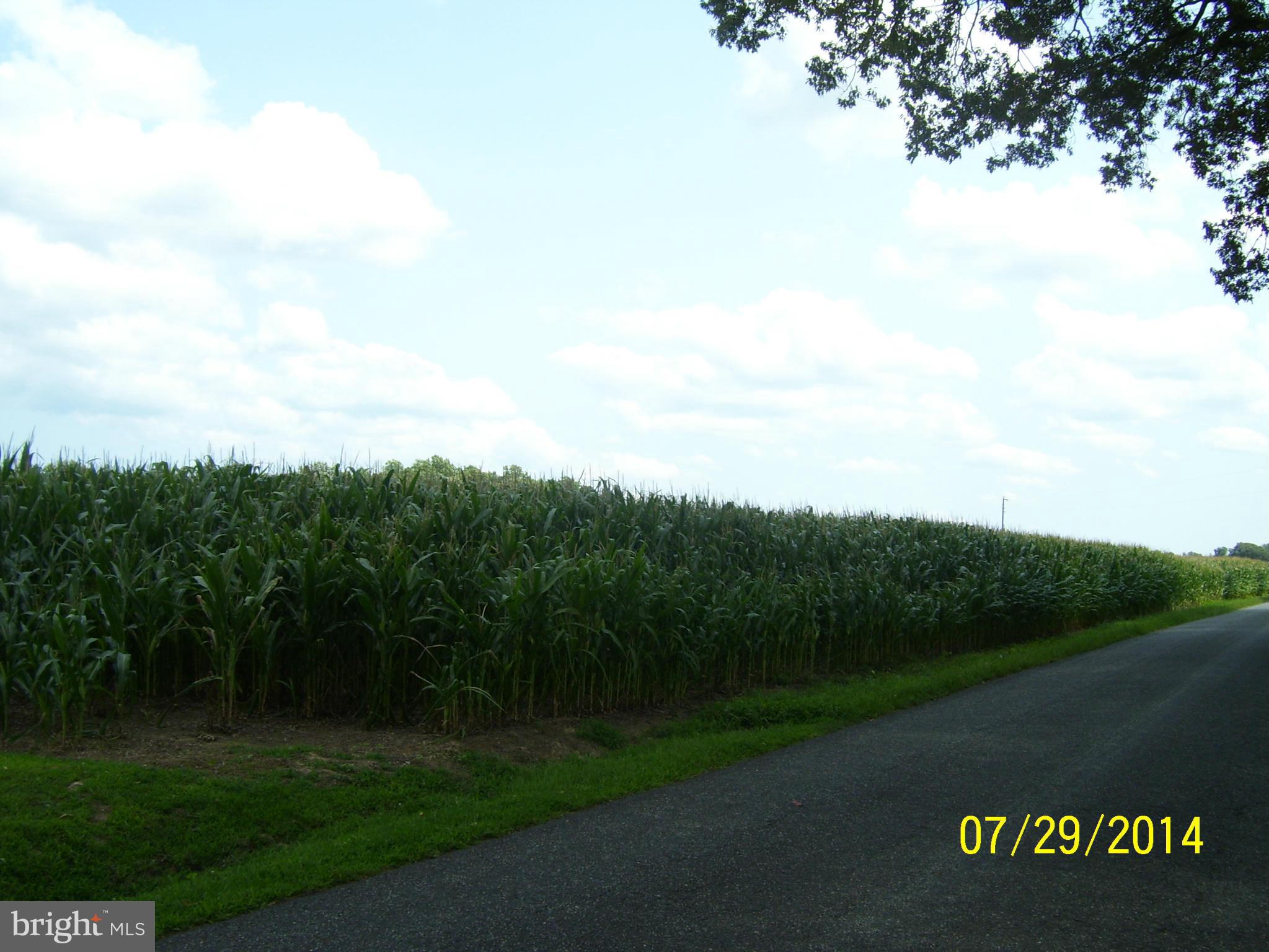 Nomini Hall Road Montross, VA 22520 - Photo 1 of 1 Land