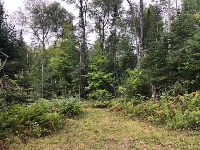 6918 Wildcat Road Presque Isle, WI 54557 - Photo 15 of 25 Gallery Image 15