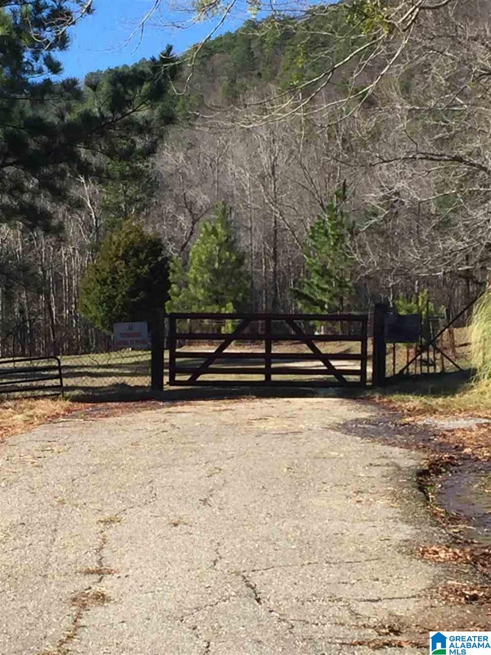 346 Hunters Lane Vandiver, AL 35176 - Photo 35 of 38