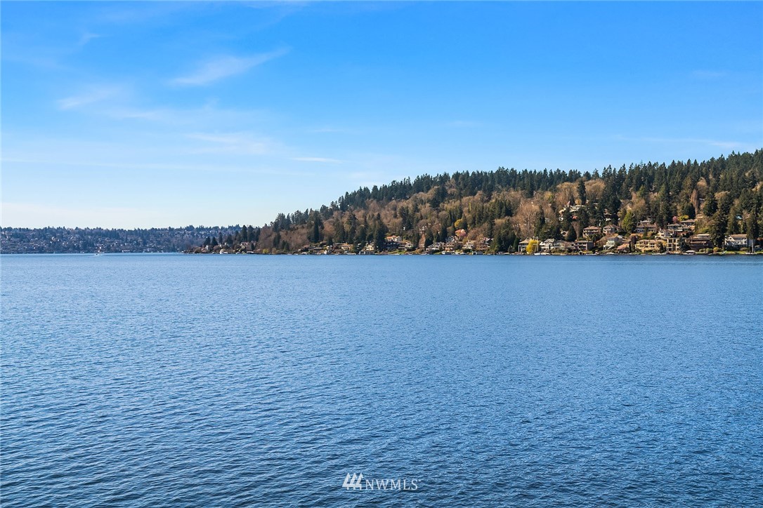6607 Ripley Ln S East Renton, WA 98056 - Photo 29 of 29