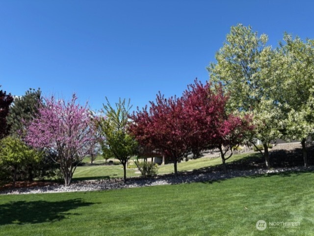 4062 Knowles Road Wenatchee, WA 98801 - Photo 19 of 20 a view of a park with large trees